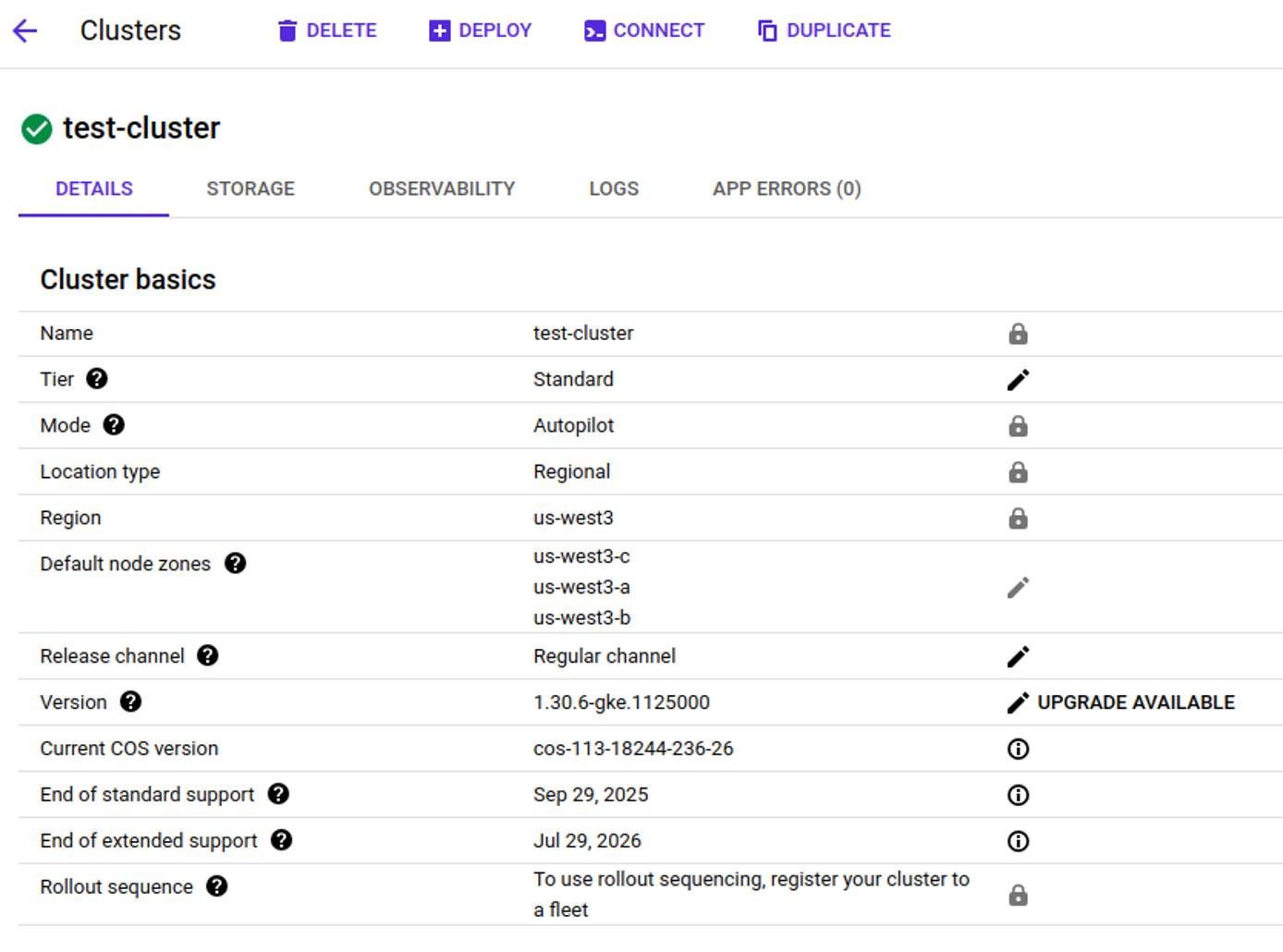 Google Cloud console displaying detailed information about a GKE cluster.