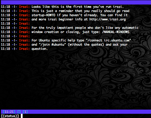 Irssi’s default message.